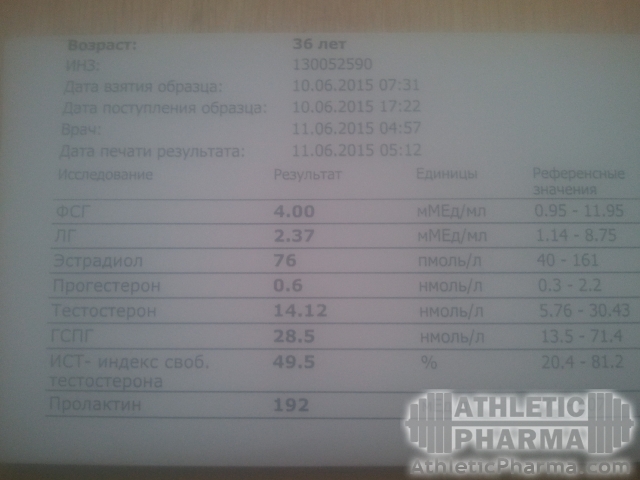 med_gallery_3629_2_1247100.jpg