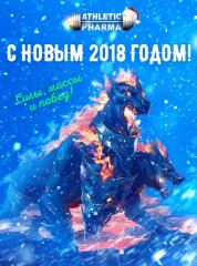 С новым 2018 годом!